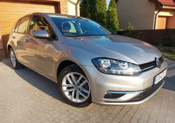 wielkopolskie Volkswagen Golf cena 62900 przebieg: 55300, rok produkcji 2018 z Gniezno